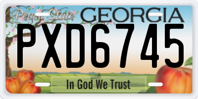 GA license plate PXD6745