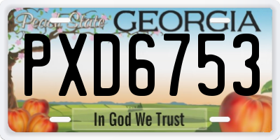 GA license plate PXD6753