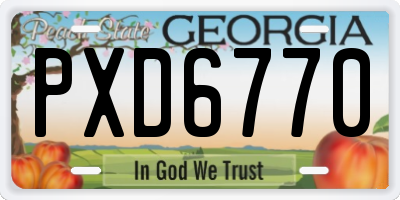GA license plate PXD6770