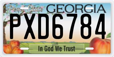 GA license plate PXD6784