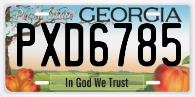 GA license plate PXD6785