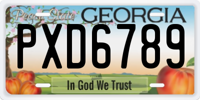 GA license plate PXD6789