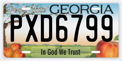 GA license plate PXD6799