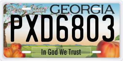 GA license plate PXD6803