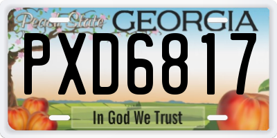 GA license plate PXD6817