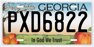 GA license plate PXD6822
