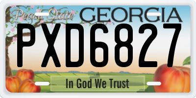 GA license plate PXD6827