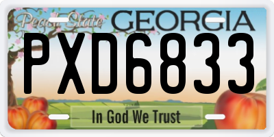GA license plate PXD6833