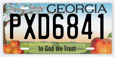 GA license plate PXD6841