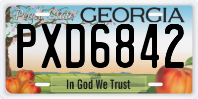 GA license plate PXD6842
