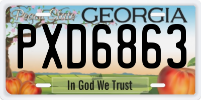 GA license plate PXD6863