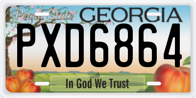 GA license plate PXD6864