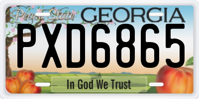 GA license plate PXD6865