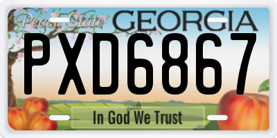 GA license plate PXD6867