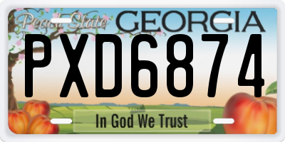 GA license plate PXD6874