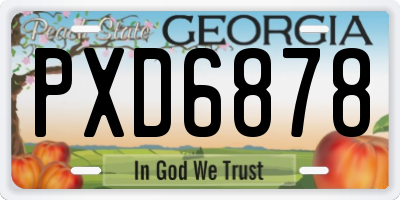 GA license plate PXD6878