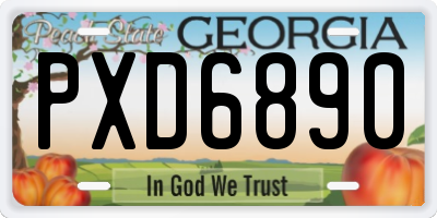 GA license plate PXD6890