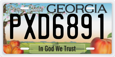 GA license plate PXD6891