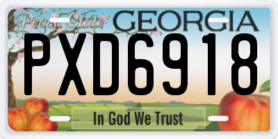 GA license plate PXD6918