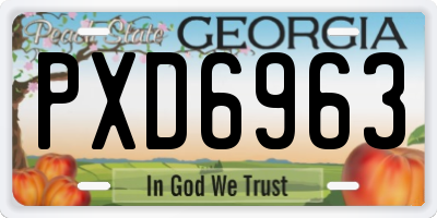GA license plate PXD6963