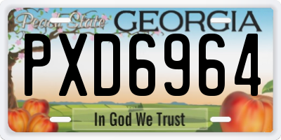 GA license plate PXD6964