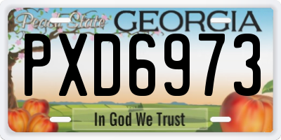 GA license plate PXD6973