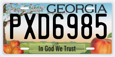GA license plate PXD6985