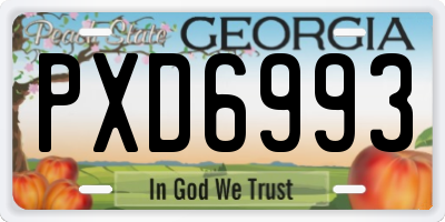 GA license plate PXD6993
