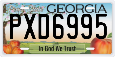 GA license plate PXD6995