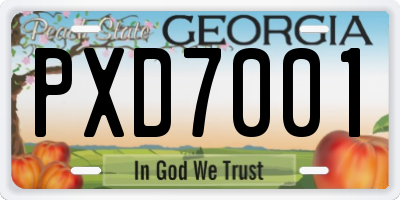 GA license plate PXD7001