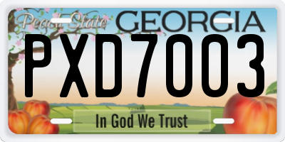 GA license plate PXD7003