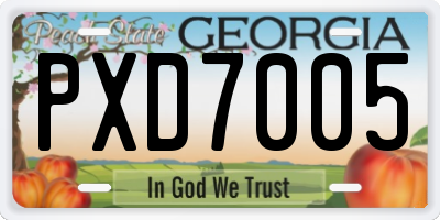 GA license plate PXD7005