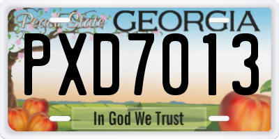 GA license plate PXD7013