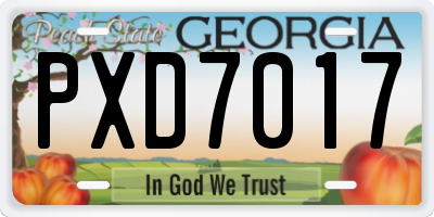GA license plate PXD7017