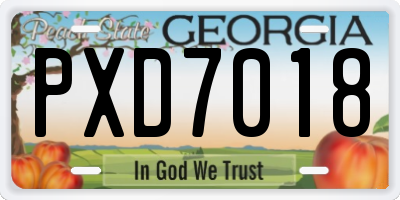 GA license plate PXD7018