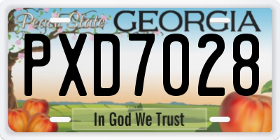 GA license plate PXD7028