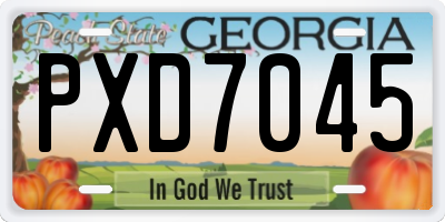 GA license plate PXD7045