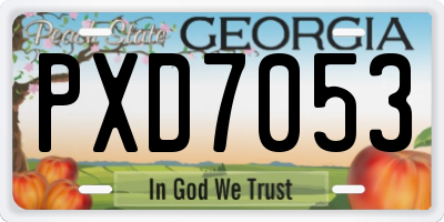 GA license plate PXD7053