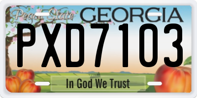 GA license plate PXD7103