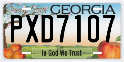 GA license plate PXD7107