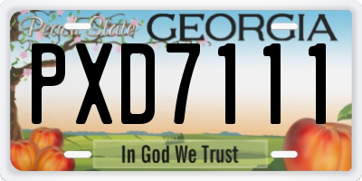 GA license plate PXD7111