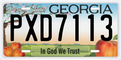 GA license plate PXD7113