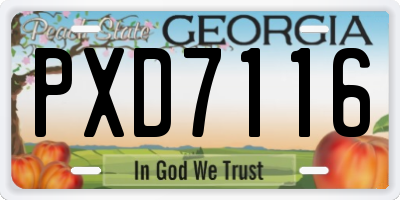 GA license plate PXD7116