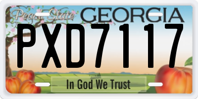 GA license plate PXD7117