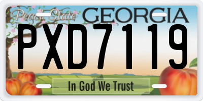 GA license plate PXD7119
