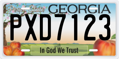 GA license plate PXD7123