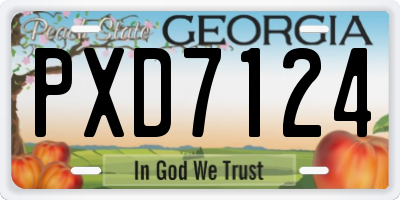 GA license plate PXD7124