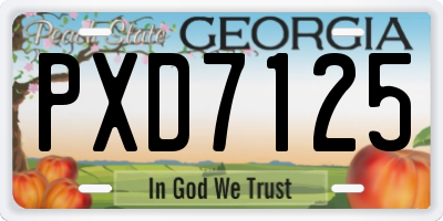GA license plate PXD7125