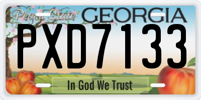 GA license plate PXD7133