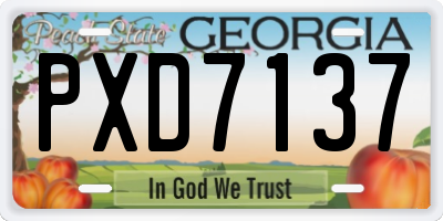 GA license plate PXD7137